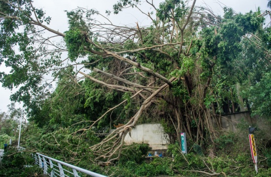 第22號臺風山竹對深圳的影響