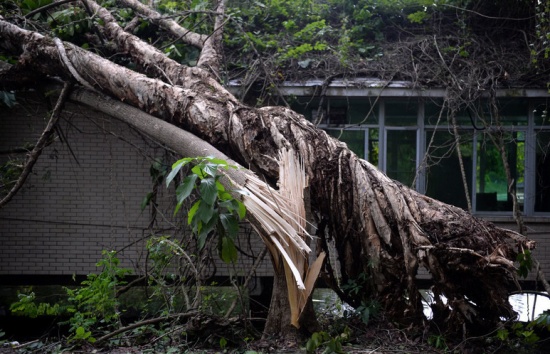 第22號臺風山竹對深圳的影響