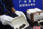 零食盒藏75只烏龜被海關查獲