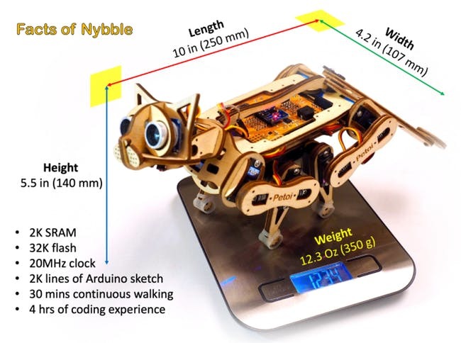 世界上最快機器貓;