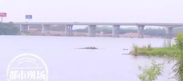 極其罕見!江西男子在贛江抓到“怪魚”,是國家一級保護動物