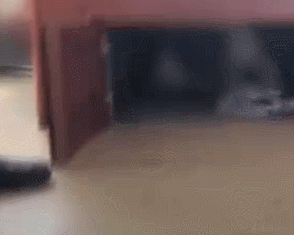 床下現隔壁女鄰居