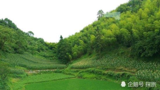 獨山縣400億如何解決