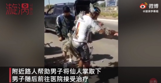 男子騎車(chē)失控摔入仙人掌叢