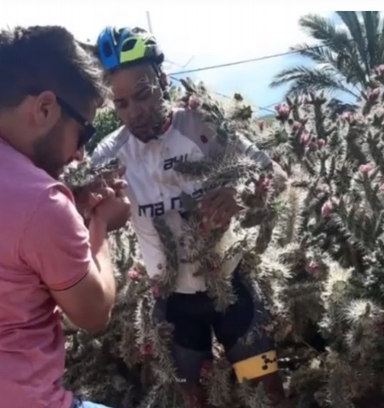 男子騎車(chē)失控摔入仙人掌叢