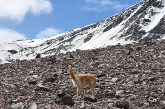 安第斯山脈出現(xiàn)罕見的干旱