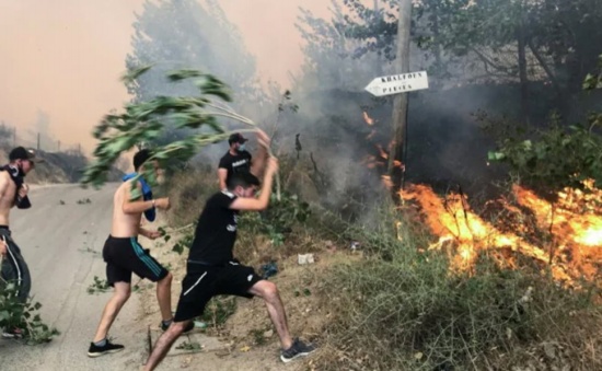 阿爾及利亞野火已造成42人死亡