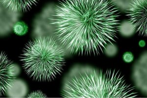 印度制造的噴霧劑中發(fā)現(xiàn)4種致病細(xì)菌