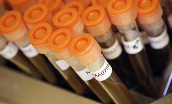 濫用抗生素導(dǎo)致細(xì)菌產(chǎn)生耐藥性