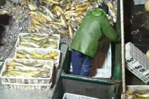 大黃魚船主:957萬貨款已到賬