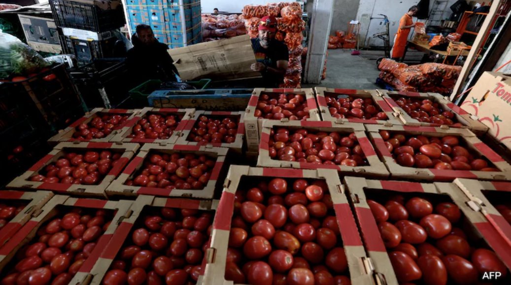 墨西哥周一表示,正在與番茄生產(chǎn)商合作,以限制17%關(guān)稅的影響。