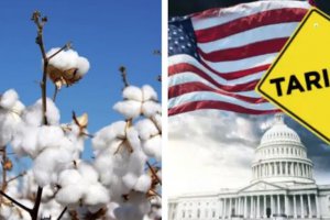 受美國關(guān)稅影響 印度