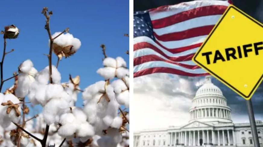 受美國關(guān)稅影響，印度暫停棉花進口關(guān)稅，以支持紡織業(yè)